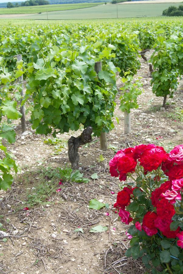 La Pouillyzotte Bed & Breakfast エクステリア 写真