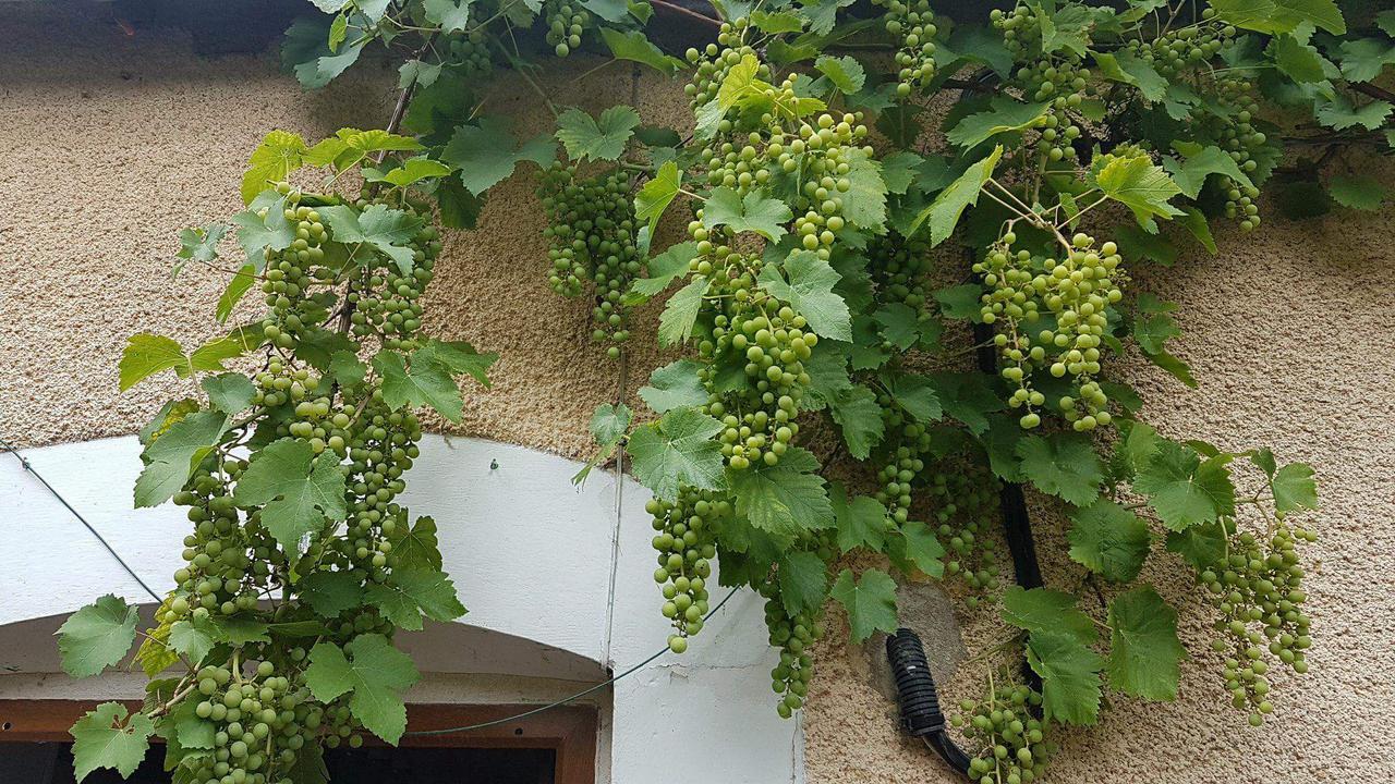 La Pouillyzotte Bed & Breakfast エクステリア 写真